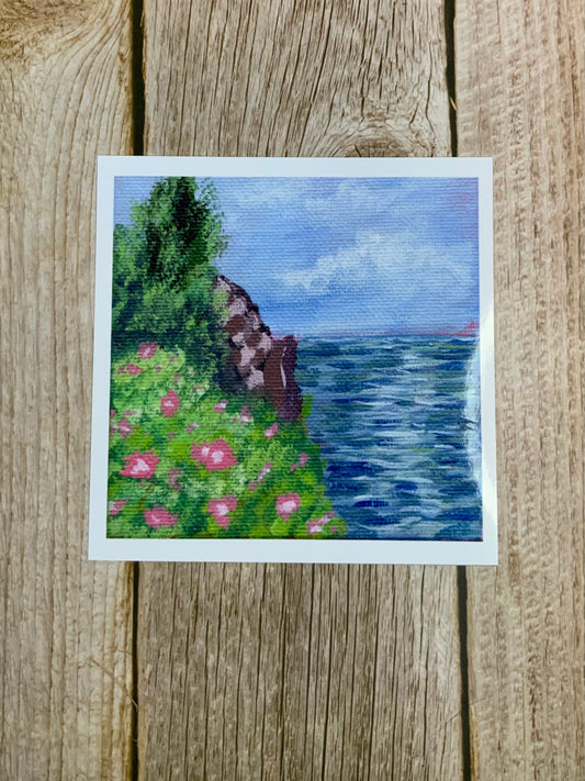 Coastal Blooms
